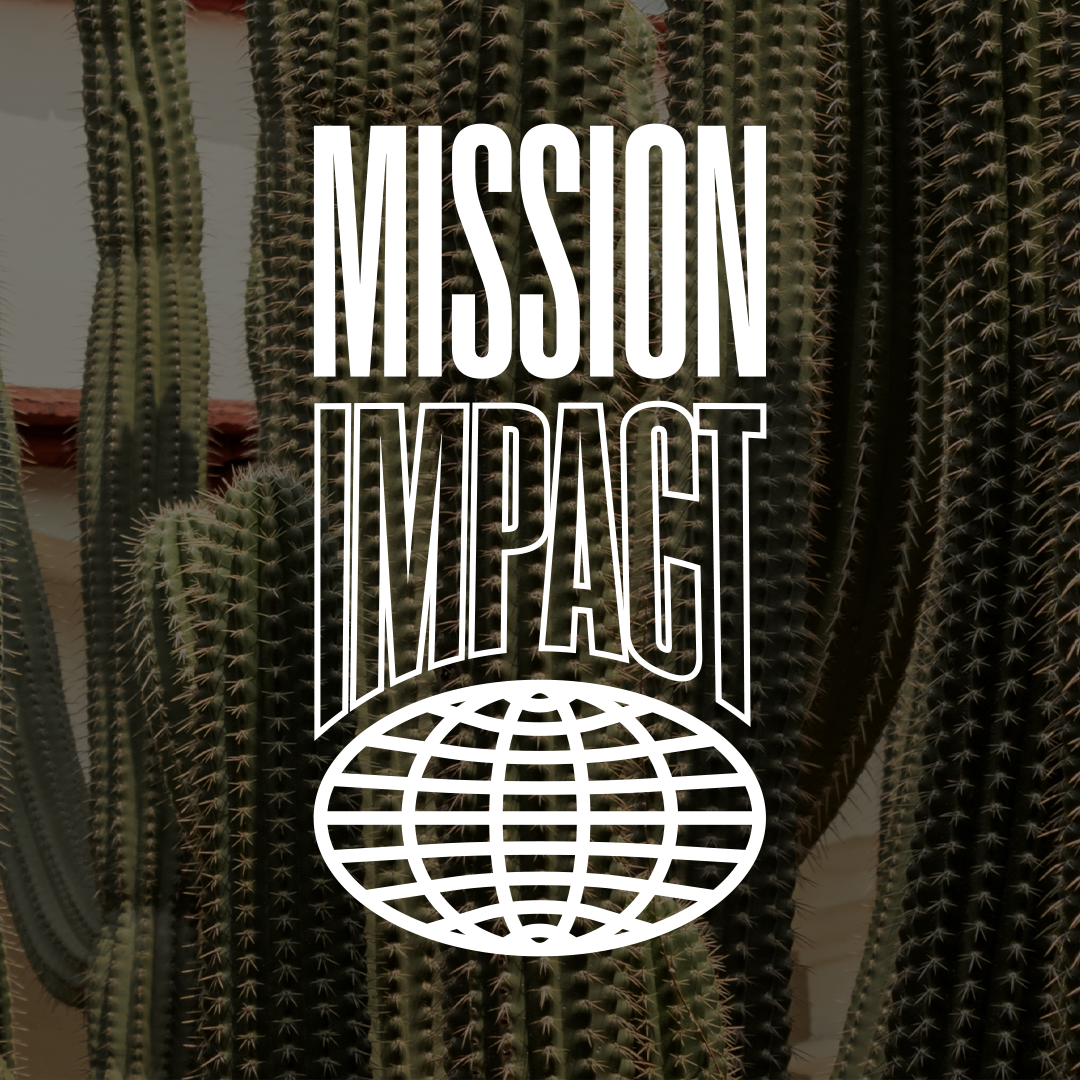 Mission-Impact-Mexico